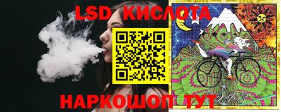 крисы Будённовск