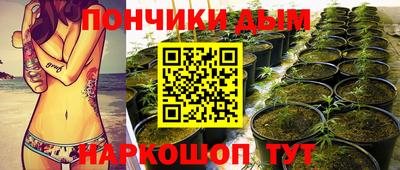 крисы Будённовск