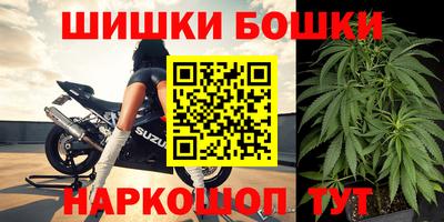 крисы Будённовск